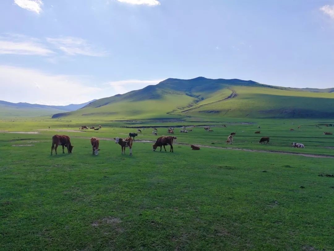 我们的草原,我们的草原是多么的辽阔