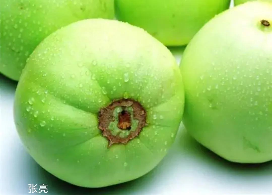 垂涎欲滴的瓜世界：瓜田李下说吃瓜，一片冰心香满园