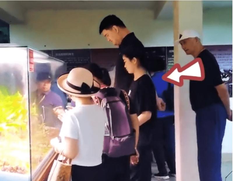 姚明近况生活照,姚明最近出行