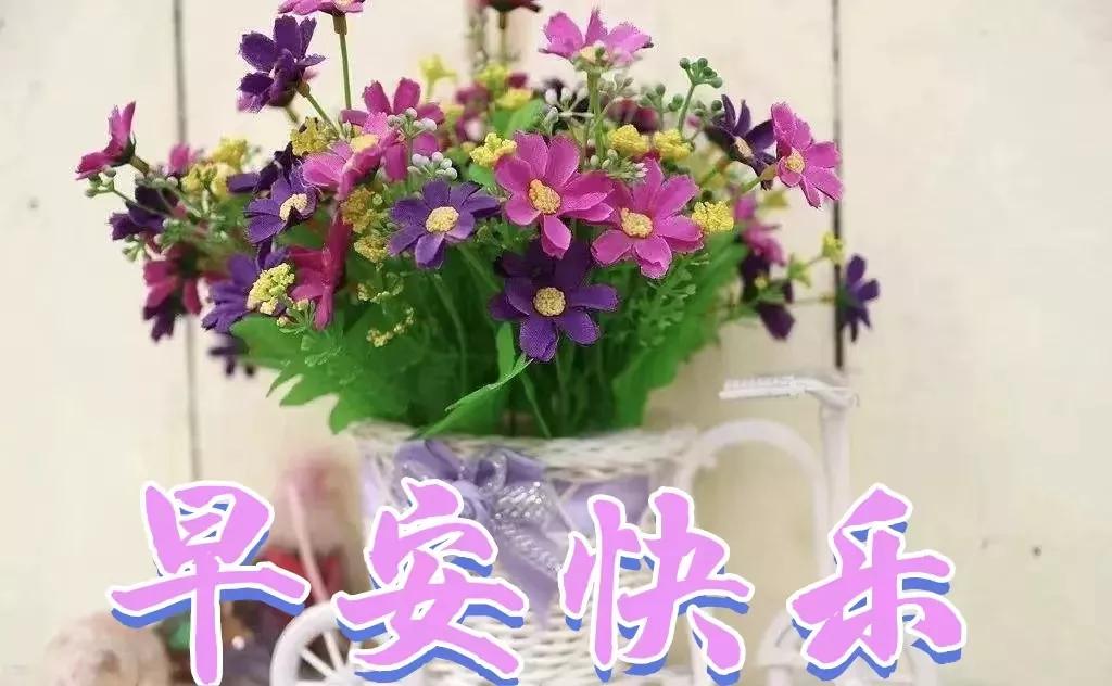 早上好图片带字早安问候语大全,早上好最新图片带字早安语