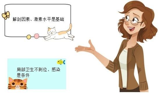 认识女童阴唇粘连