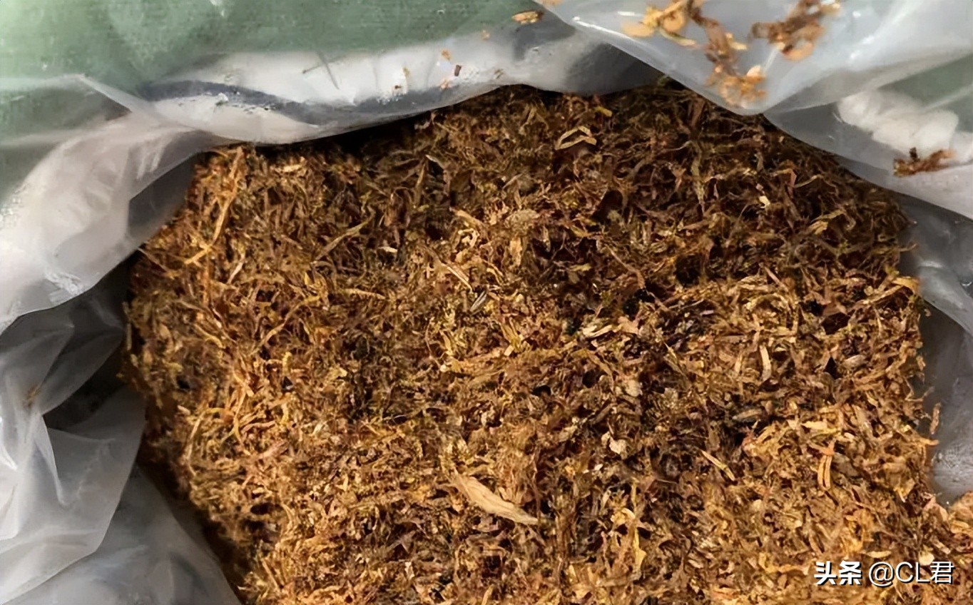 菜青虫的危害症状及防治方法,种菜有青虫用什么药