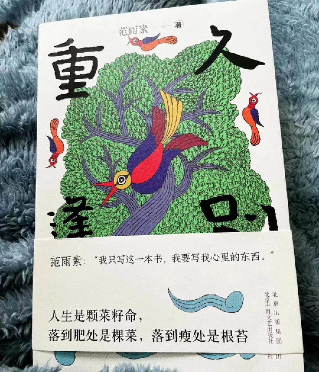 在书本腰封上“捡漏”金句，浓缩果然是精华