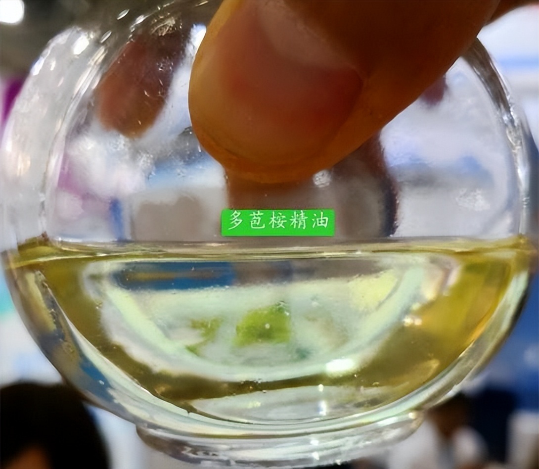 水产桉树精油对肠道怎样,桉树精油预防肠炎