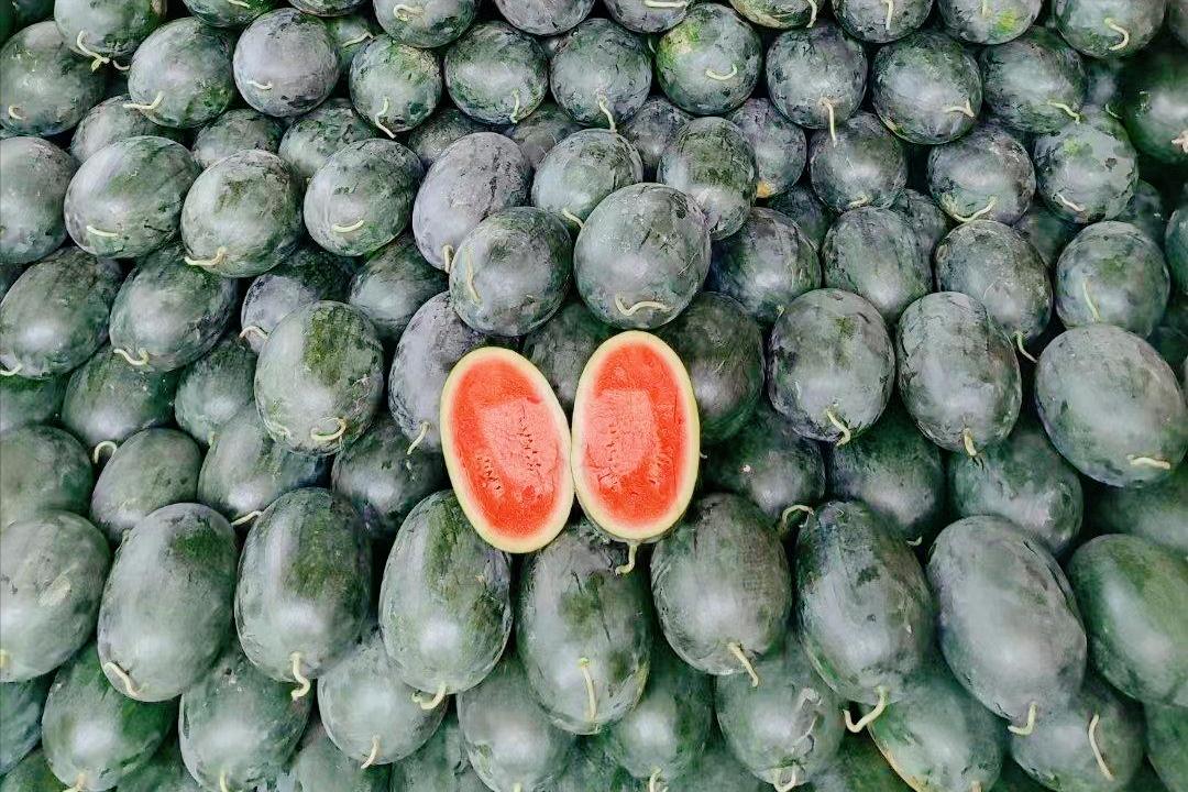 现在的西瓜越来越小,现在哪的西瓜最便宜