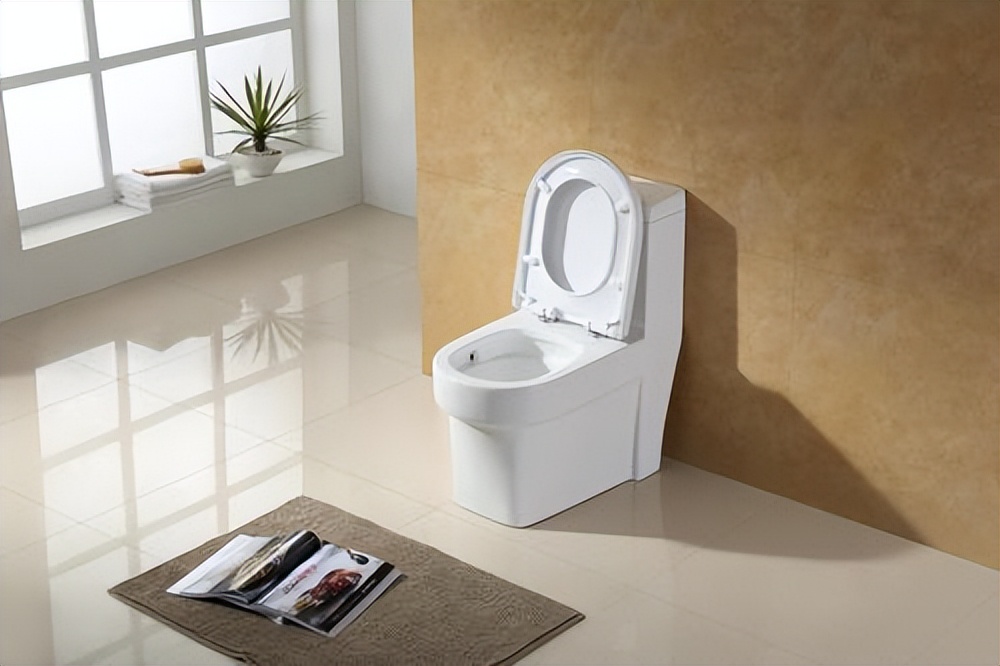 蹲便器和马桶哪个更科学,蹲便器和马桶哪个比较好
