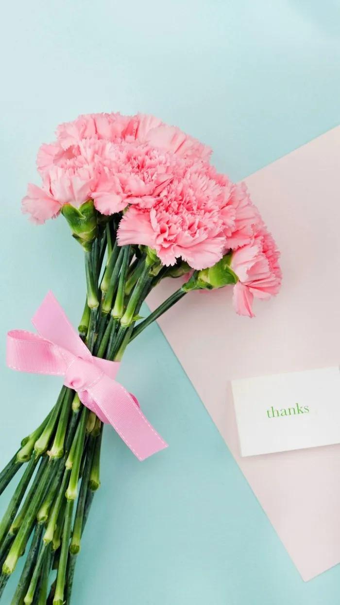 康乃馨花语朋友圈,康乃馨花语送女朋友