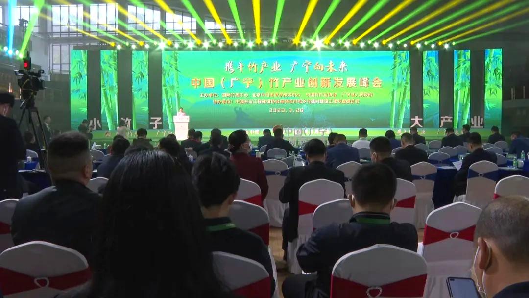 广宁竹产业园,中国广宁竹产业创新发展