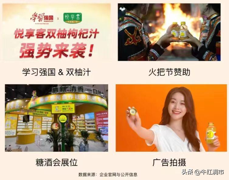 每天了解一家公司,每天了解一家茶企