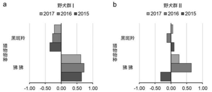 进击的狗群：非洲野狗在三年内，干掉了五十多只狒狒