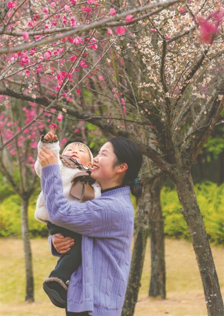 双流赏花,双流附近赏花攻略路线