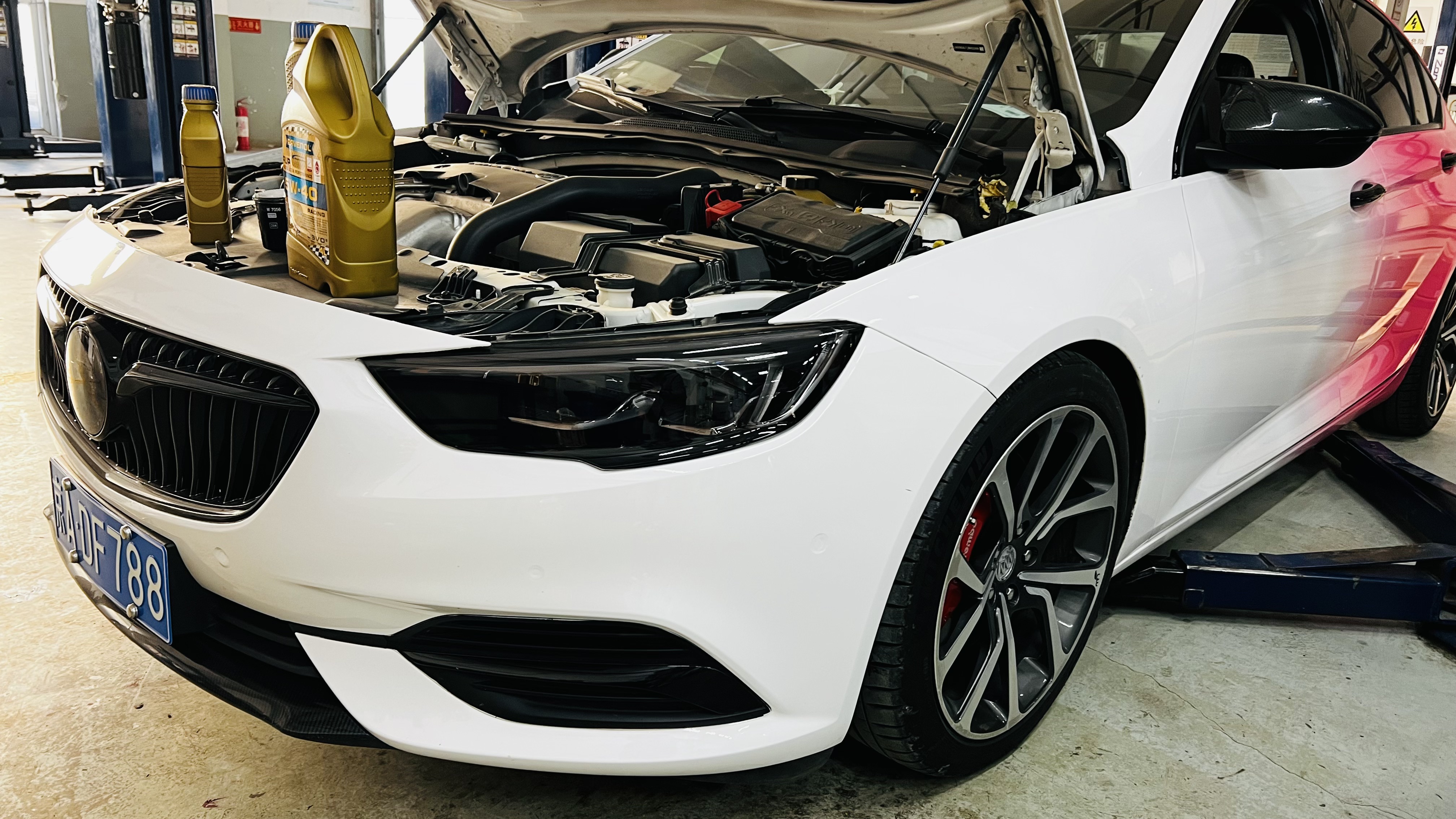 艾伦养护注意事项,艾伦怎样养护