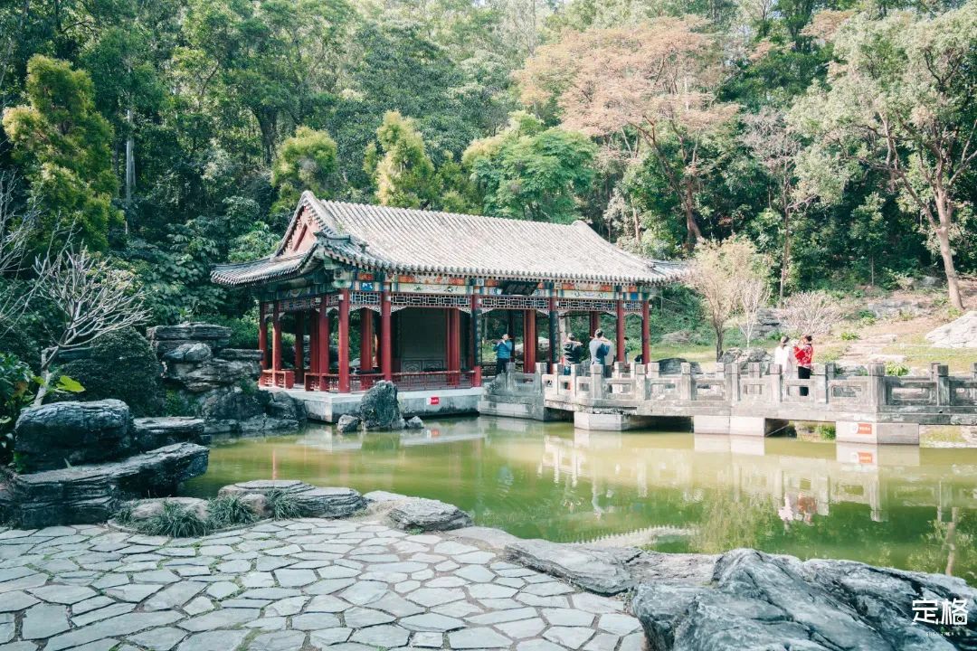 周末来深圳这10个地方免费玩,深圳周末去哪玩免费的地方