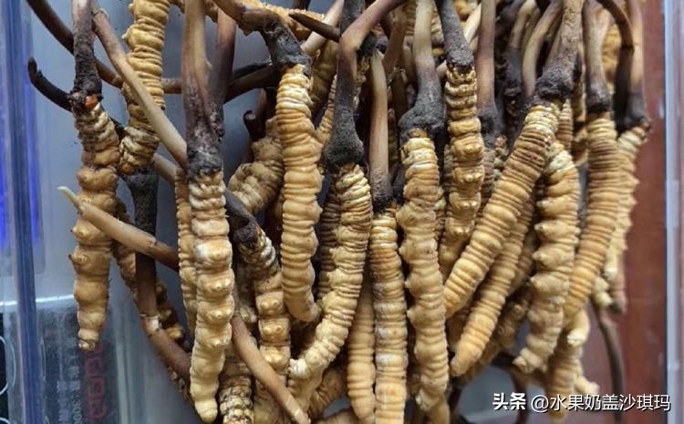 各省特产试吃视频介绍大全,全国各省的特产介绍图片版