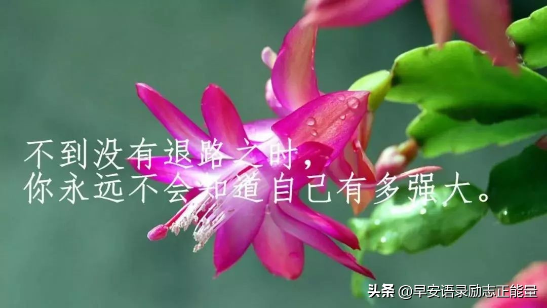 心灵鸡汤早安心语正能量短句,心灵鸡汤早安励志正能量短句