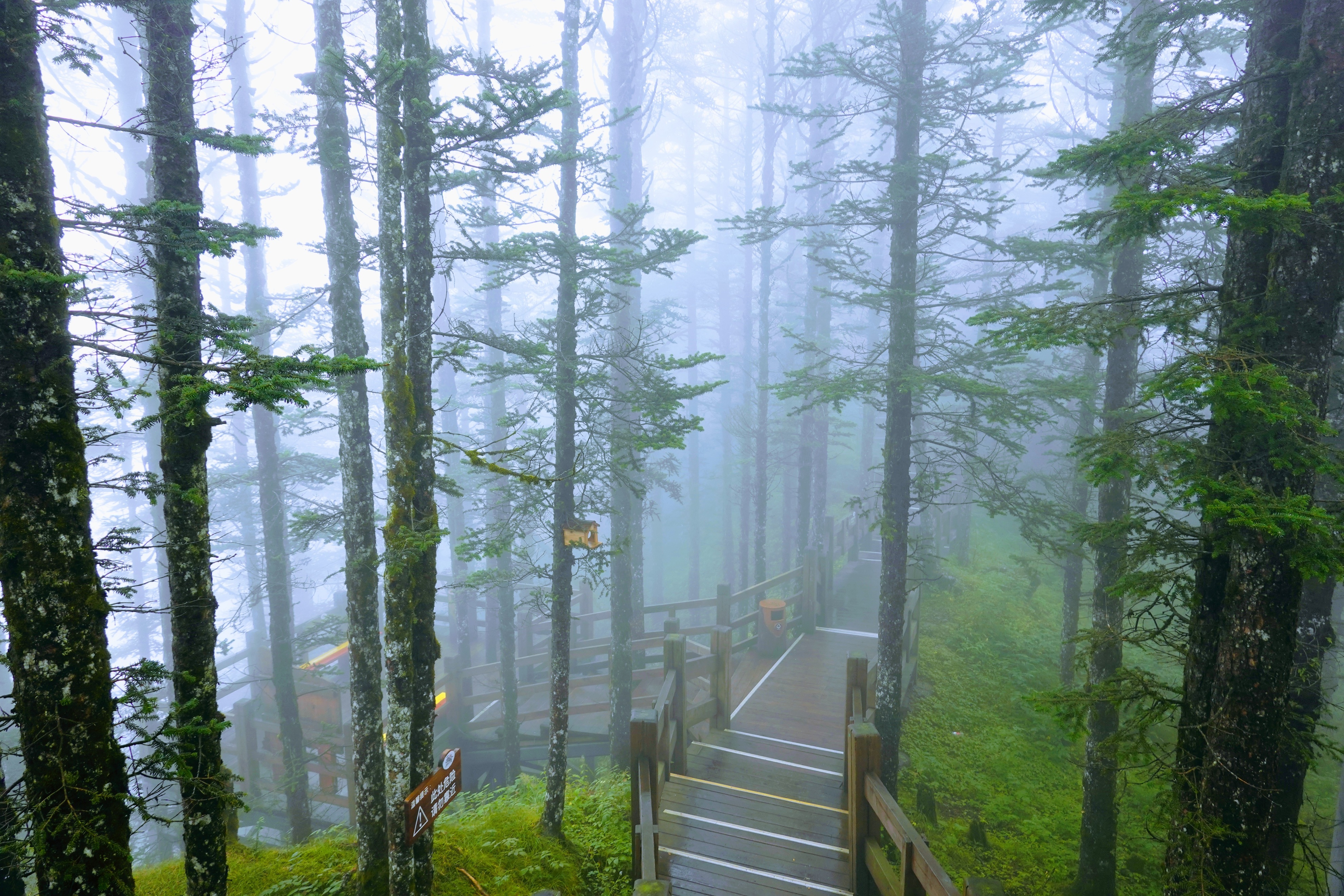 成都大邑徒步旅游攻略,大邑西岭雪山后山门票