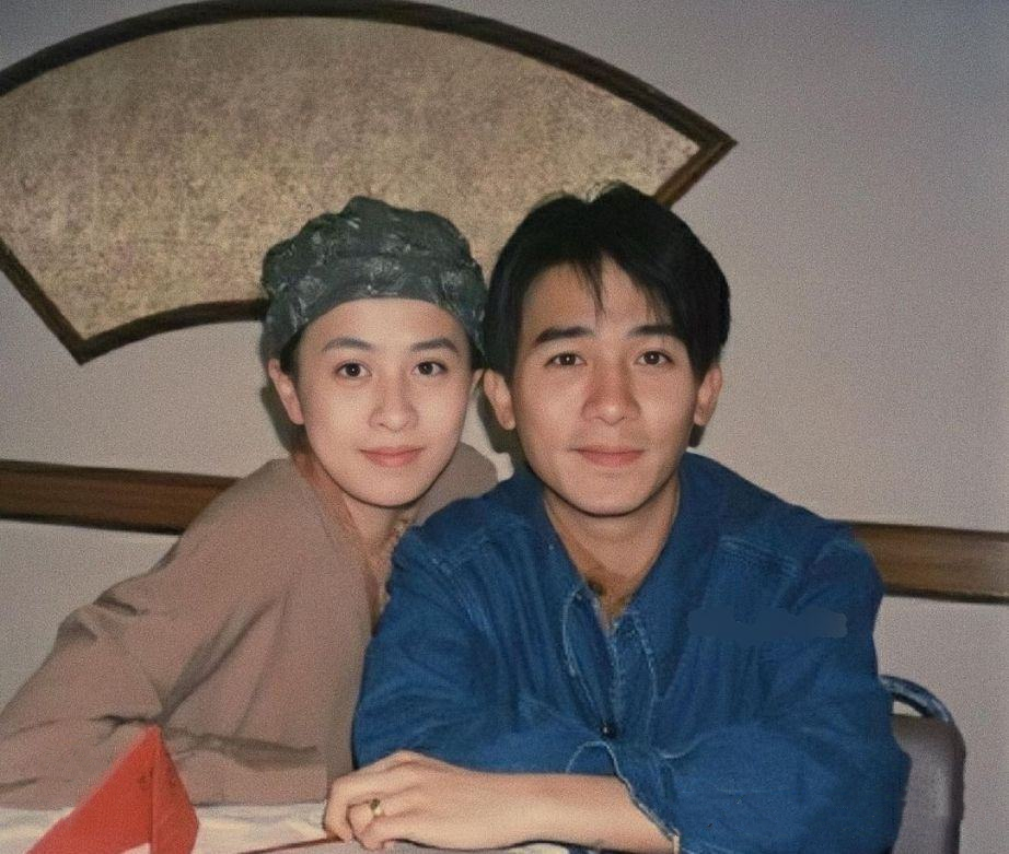 丁克六对明星夫妻,明星有哪几对丁克夫妻