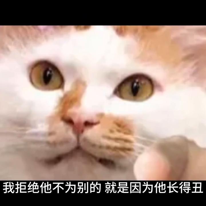 怎么看待追一个女生很久的男生,女生如何看待追了自己很久的男生