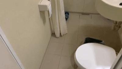 如家七天汉庭,如家7天速8