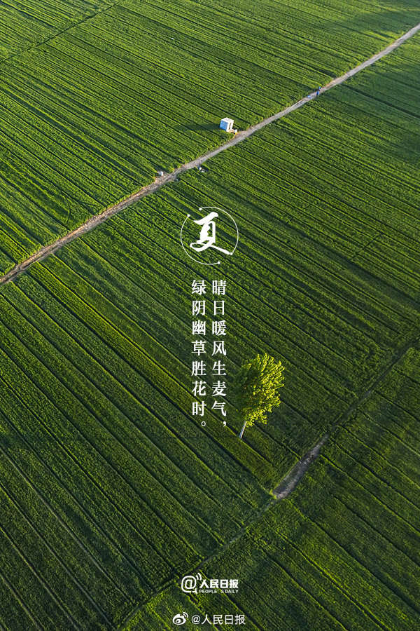 共赏夏日美景诗词,关于夏日风景的古诗名句