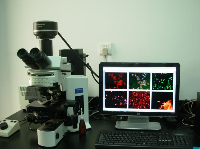 发酵液的提取常用方法,发酵液提取分离的主要方法