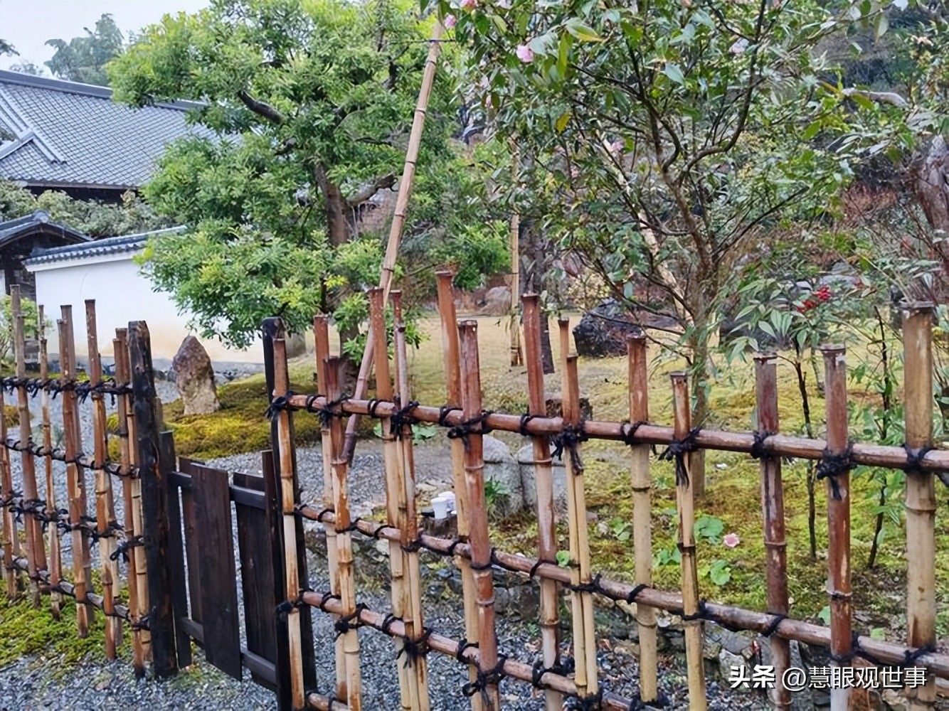 中高考必背古诗词中的人工景观（10）