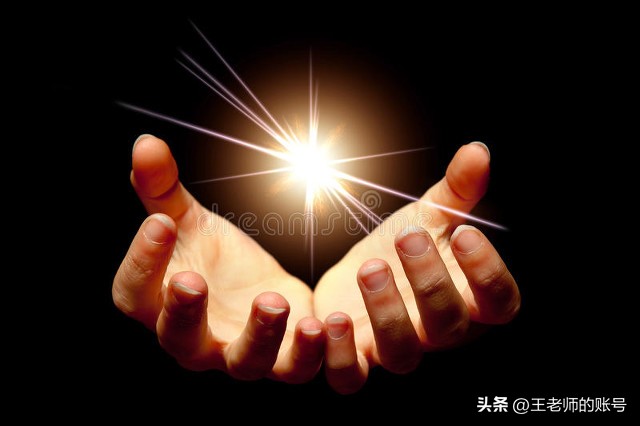 探秘珍稀动物,珍稀动物的传奇故事