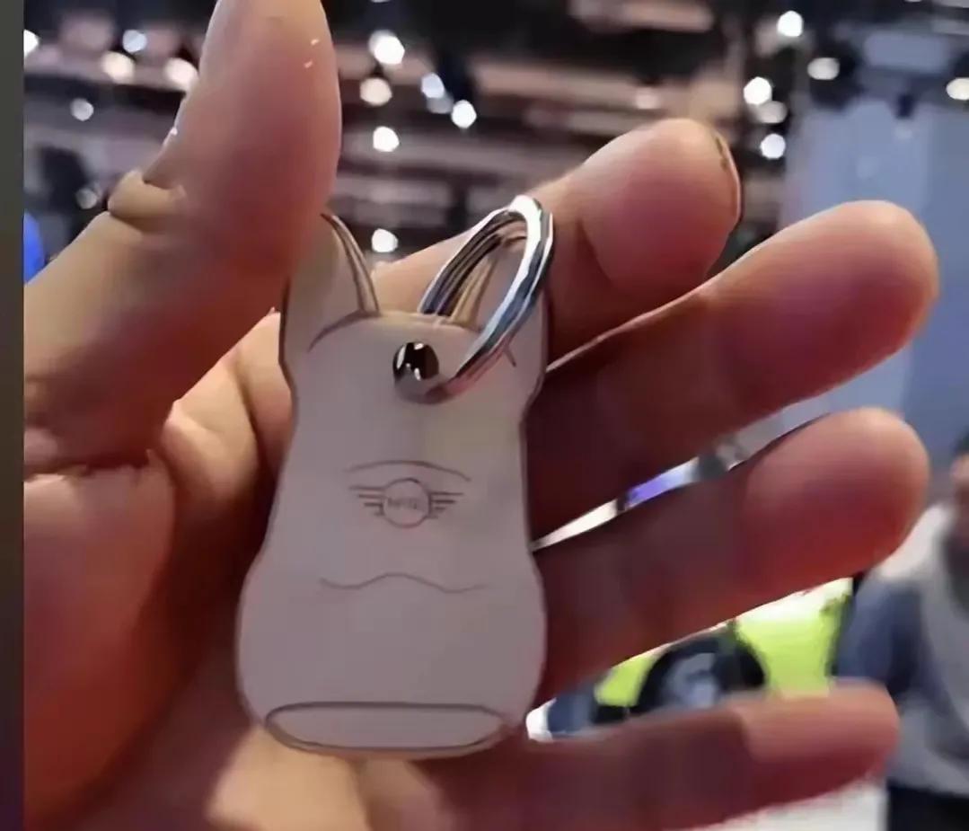 中国人竟然还排队领宝马发的狗牌，难怪外国人看不起我们