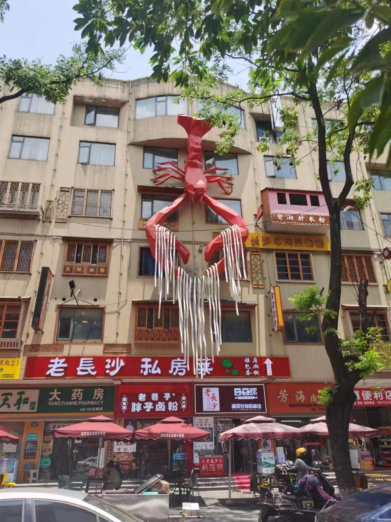 长沙一日游详解,湖南长沙一日游1月