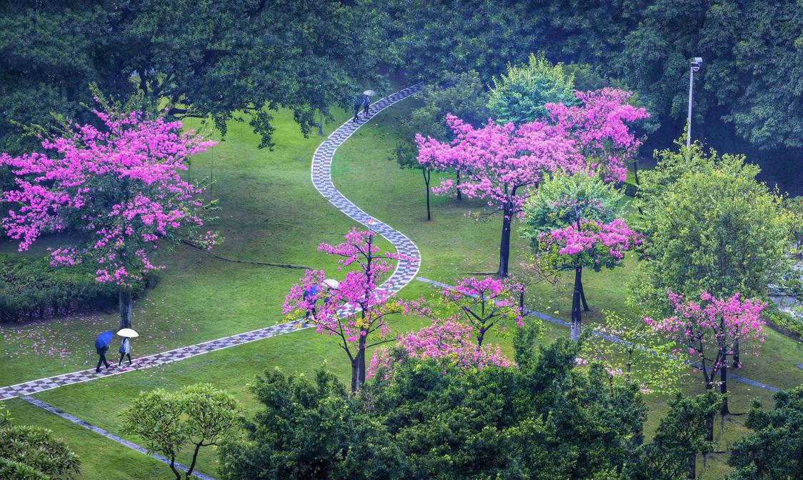 他用镜头记录旅行,他用镜头记录下了一路以来的成长