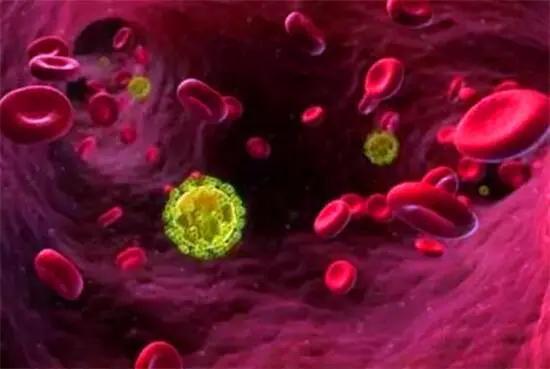 皮肤念珠菌病是什么症状,皮肤念珠菌病传染吗