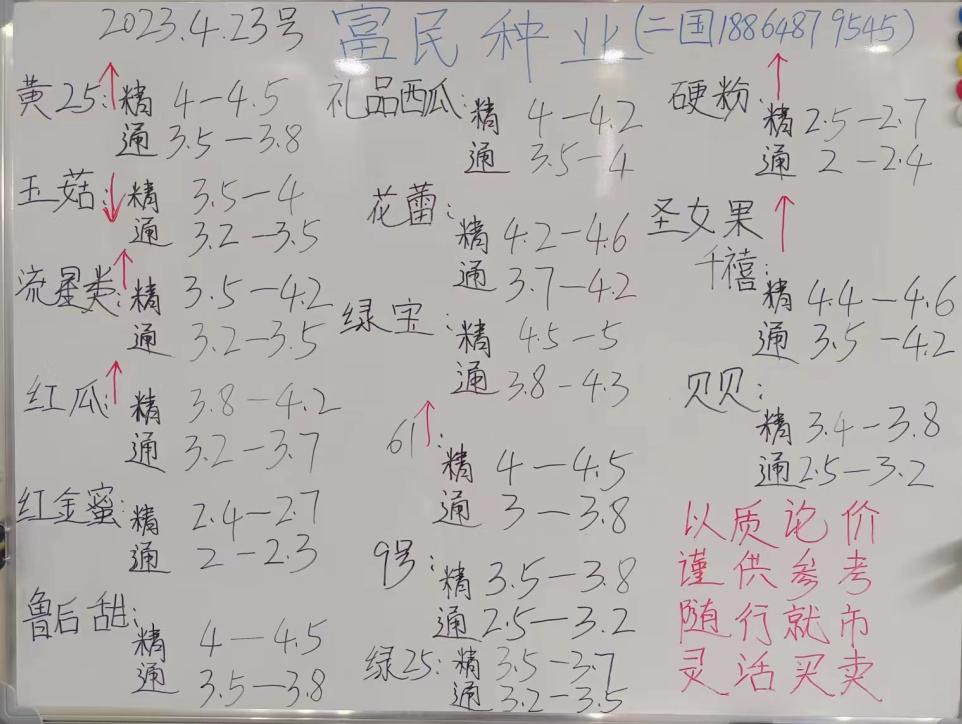 甜瓜哪个品种比较好卖,最新甜瓜产地价格