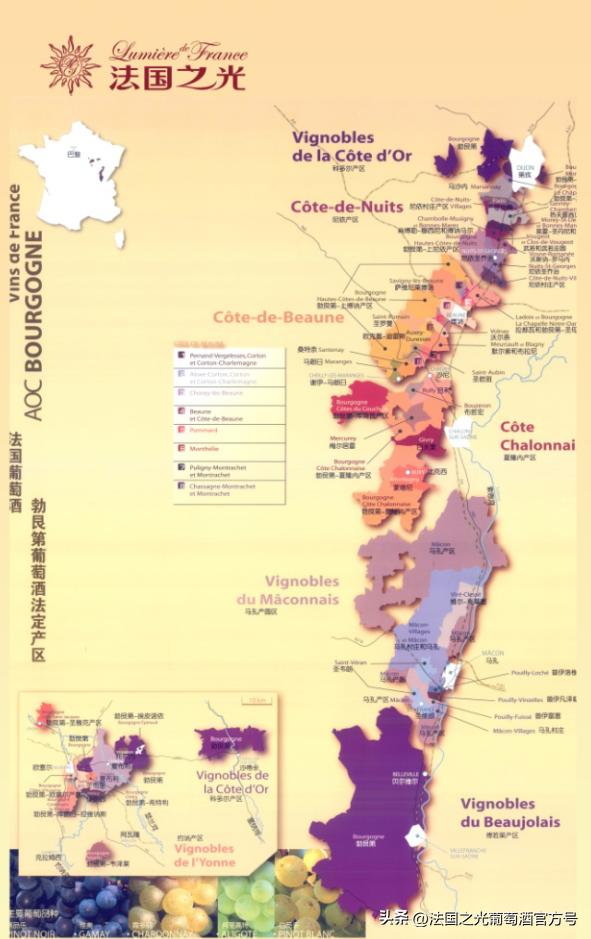 法国勃艮第葡萄酒地图,法国勃艮第产什么葡萄酒