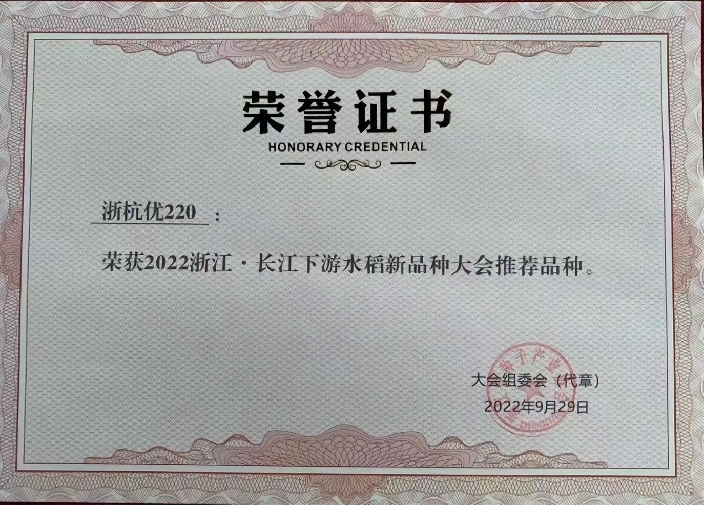 金色农华籼梗交新标杆、新升级——浙杭优220