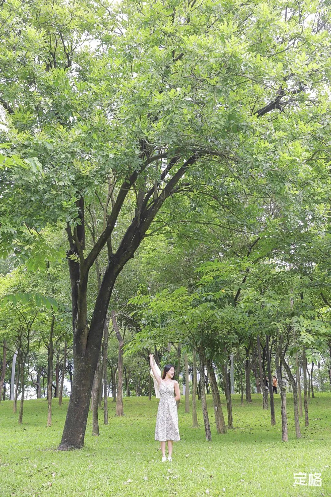 深圳地铁可以直接去的免费景点,深圳免费地铁直达景点12号线