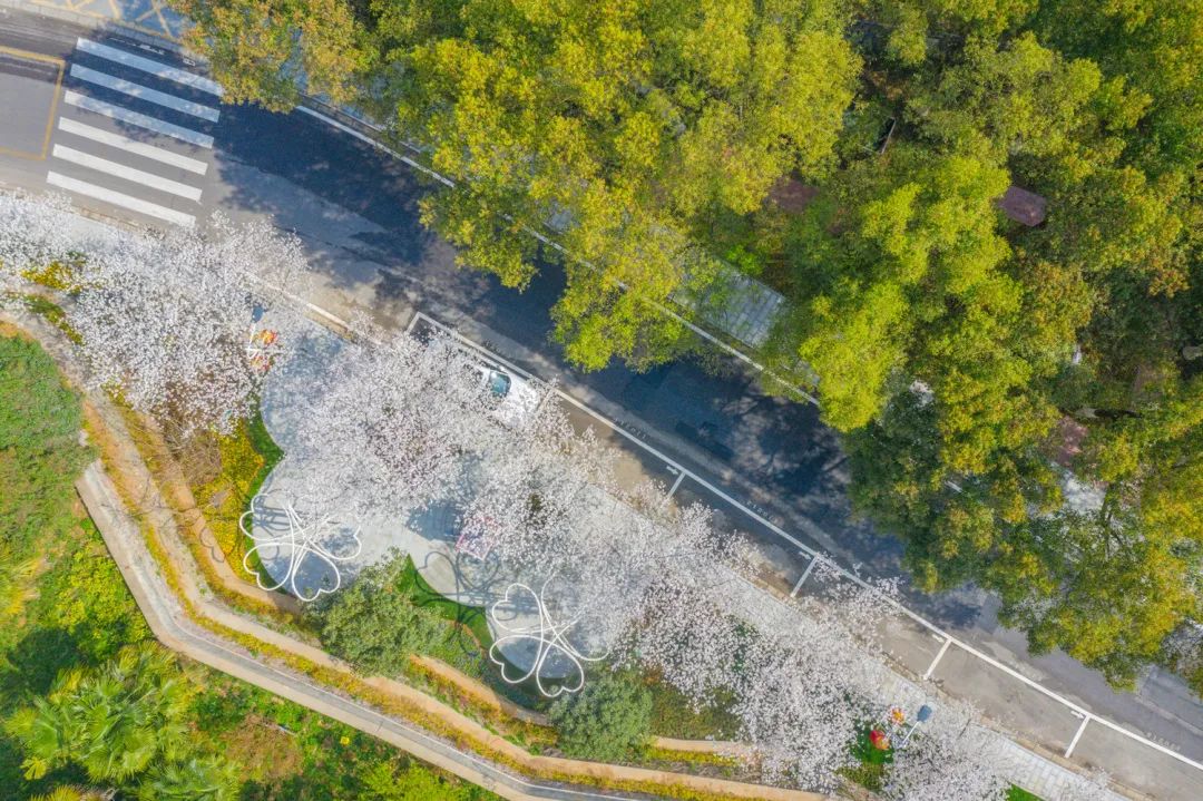 喜迎二十大|焕颜出新，匠心演绎“城市美学”