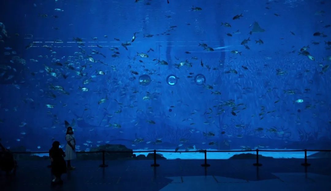 海昌游玩路线攻略,海昌门票攻略