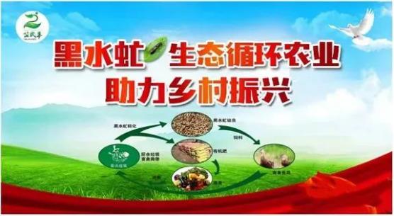 盛大金禧携手芷民丰助推乡村振兴高质量发展