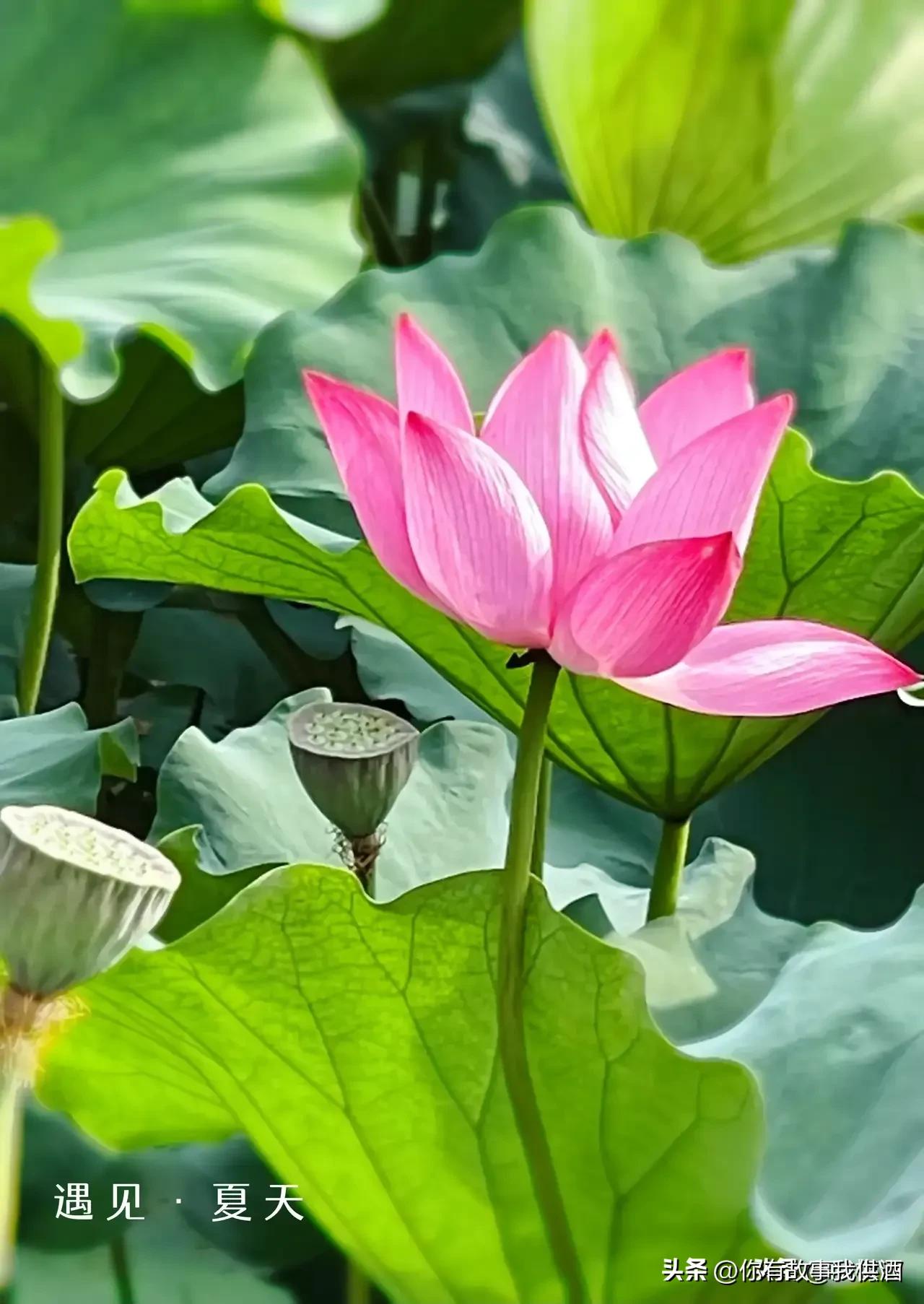 成绩较低大学什么专业就业前景好,理科十大高就业率专业及王牌院校