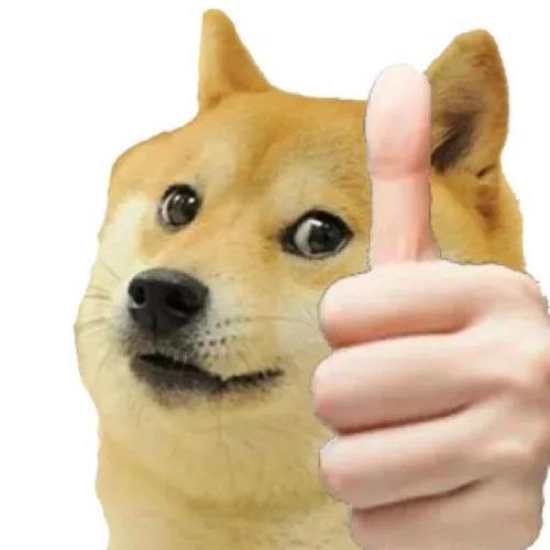 加速器是什么原理图解,加速器原理和结构