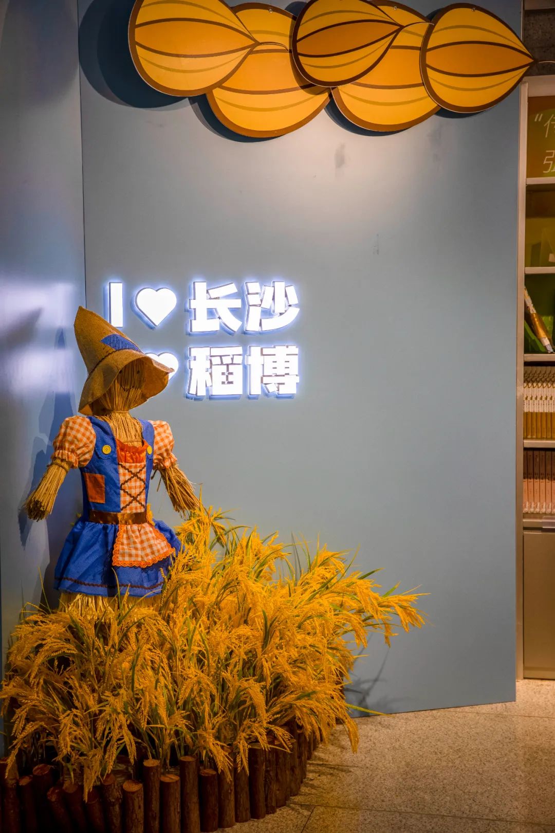 长沙一座处处是惊喜的城市,长沙city漫步指南