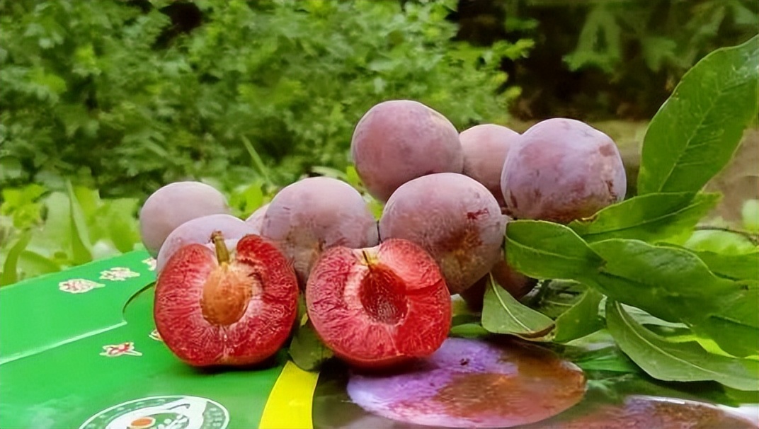 广西名特优农产品活动现场,广西农产品品牌介绍视频