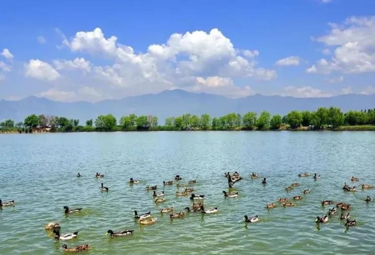 北京清明踏青旅游攻略,北京适合清明游玩的公园