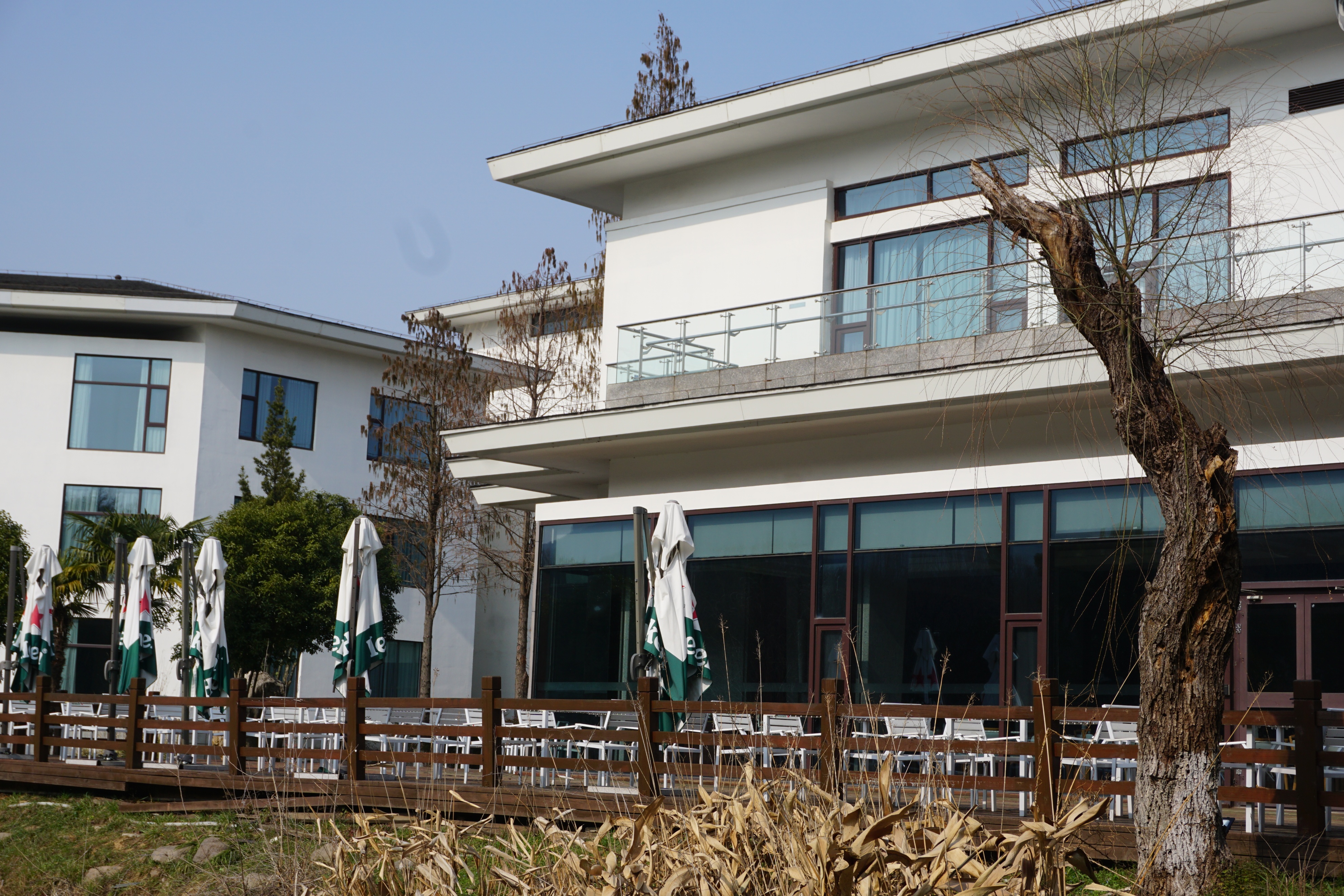 南京人看杭州,南京紫金山庄在哪里