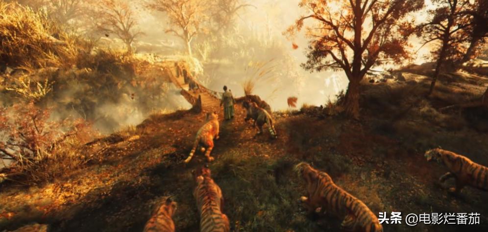 谢苗的电影为什么越来越好看了,谢苗扛起中国动作电影大旗