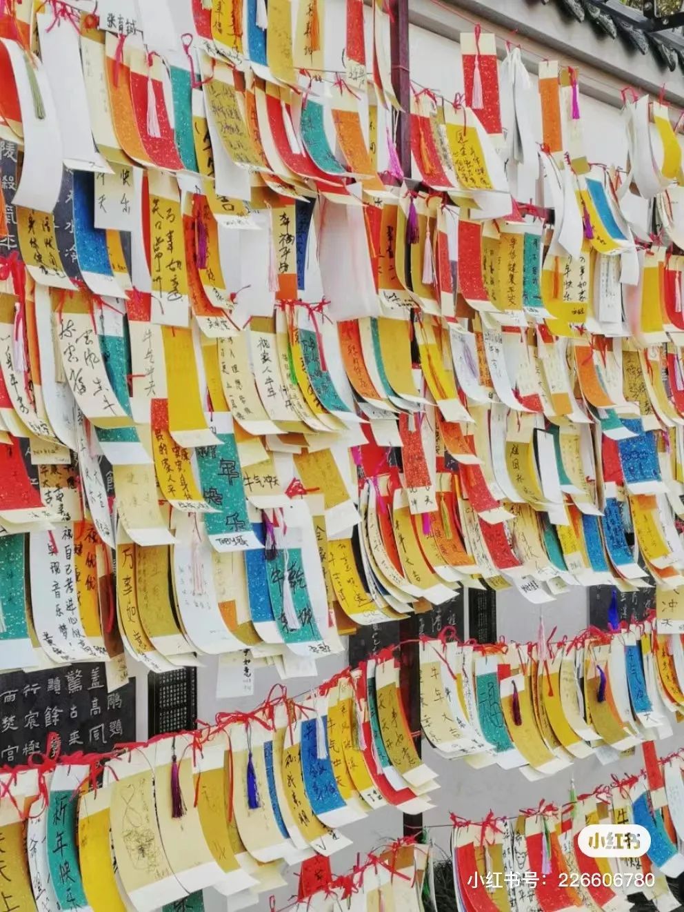 成都有哪些公园值得一去,成都必去的公园排行榜最新名单