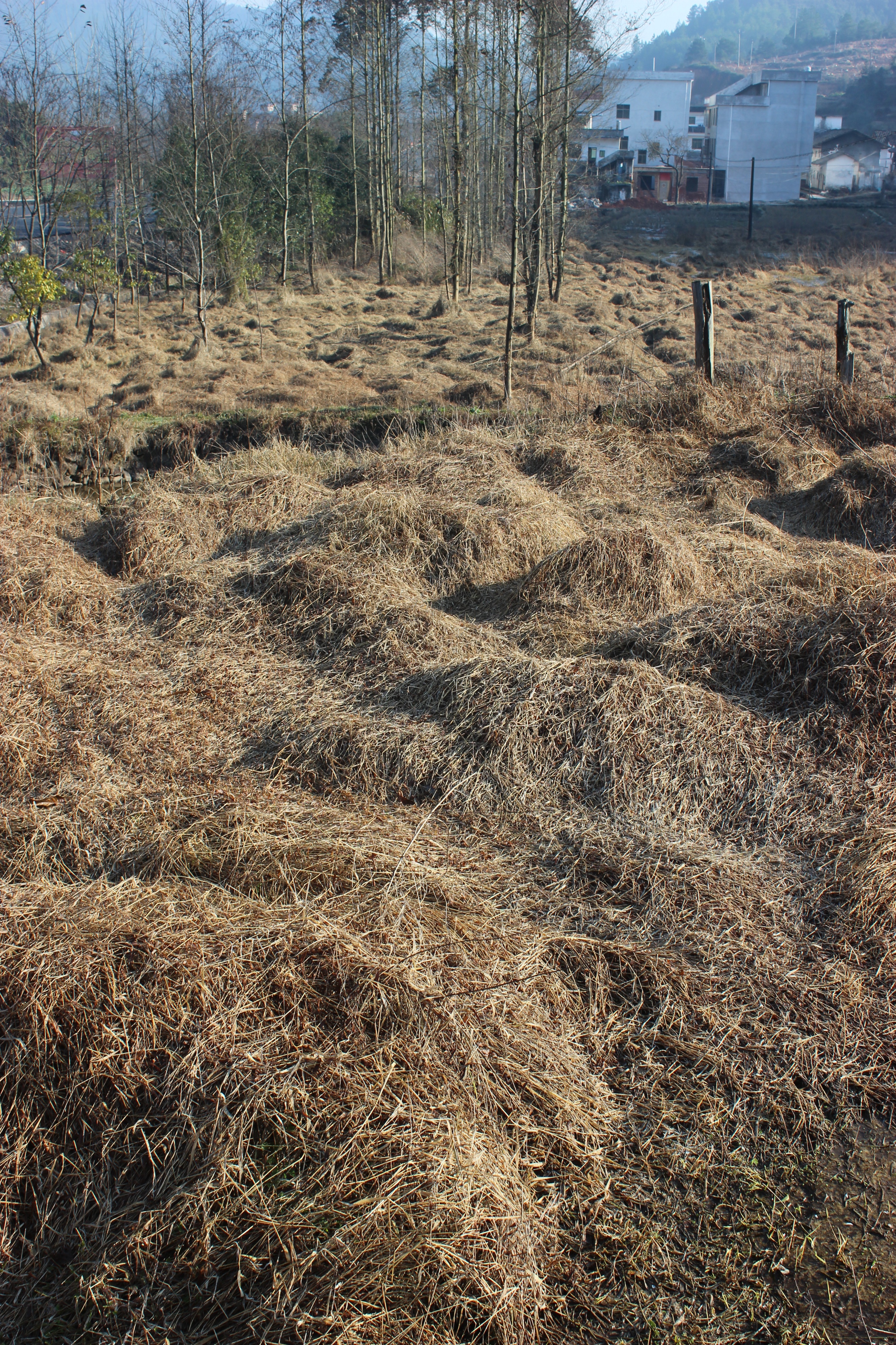 赣州周末出游攻略,春节赣州出发2-3天短途旅游