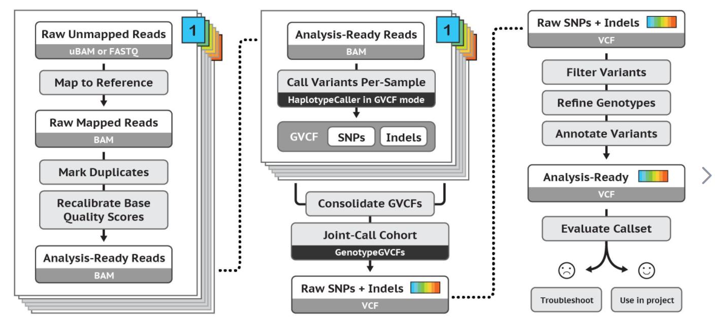 番茄果色偏黄怎么回事,番茄果实色泽评价