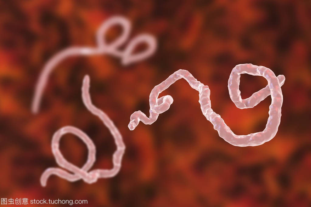 吃草莓会得肠寄生虫吗,吃草莓传染病