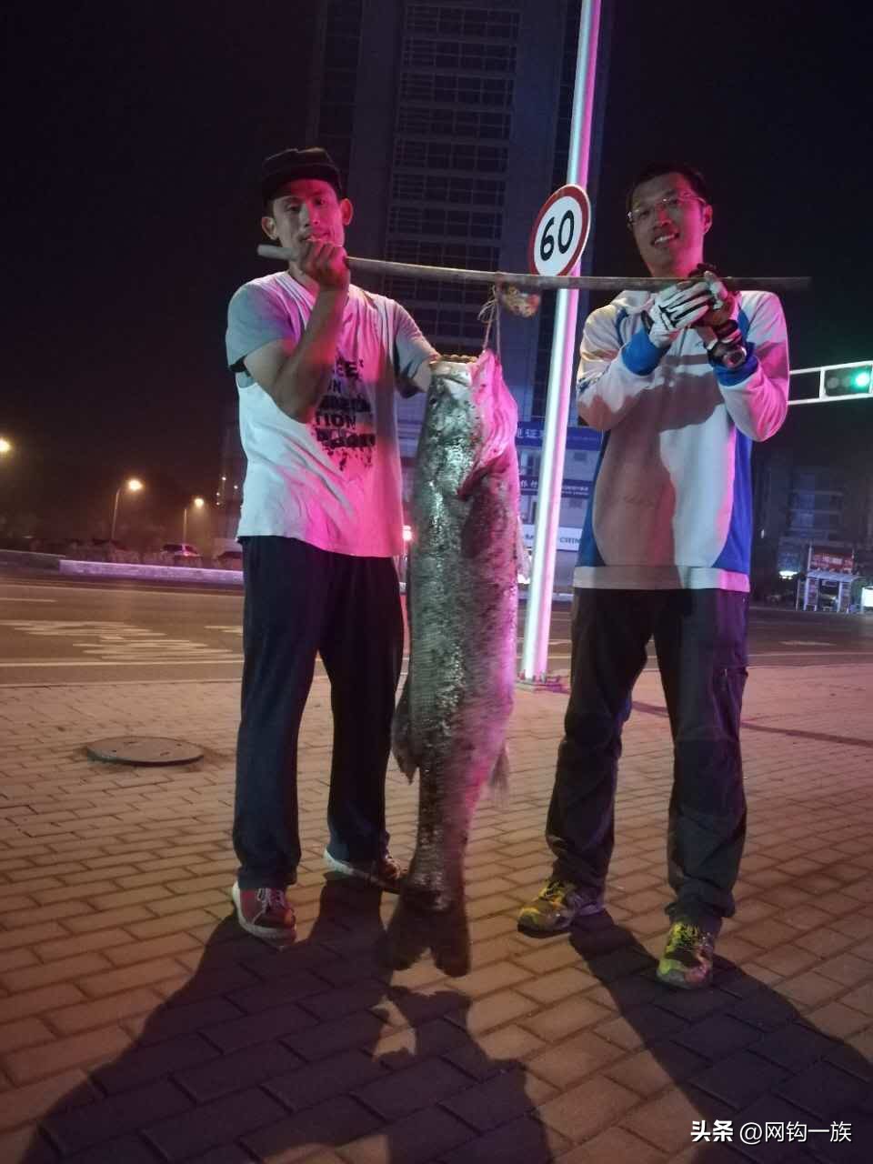 路亚鲈鱼大连,中国路亚鲈鱼最大纪录